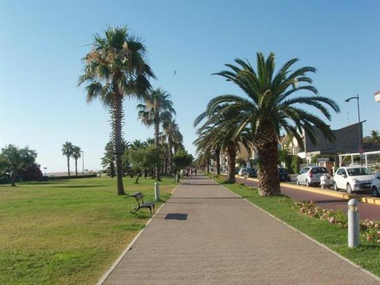 La Conchiglia Apartment Porto Sant'Elpidio Ngoại thất bức ảnh