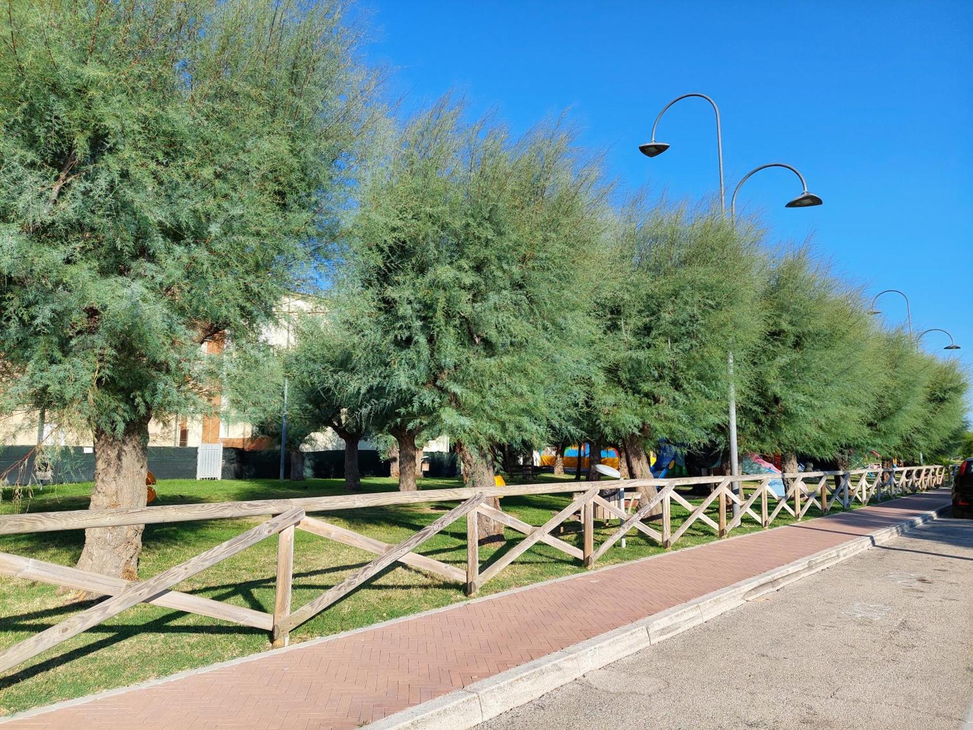 La Conchiglia Apartment Porto Sant'Elpidio Ngoại thất bức ảnh